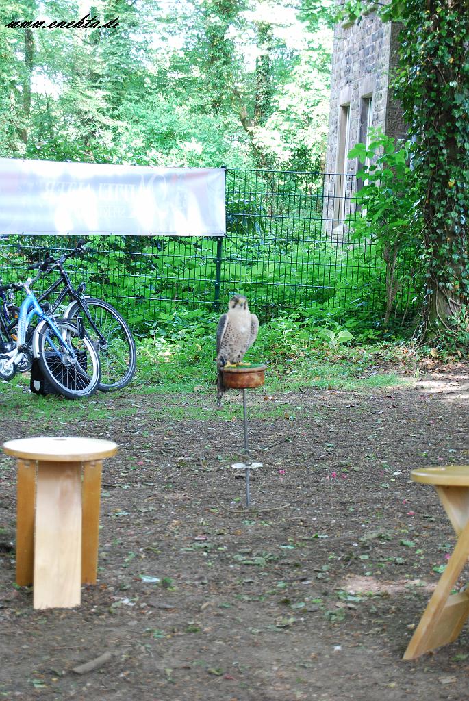 Mittelaltermarkt Dortmund-Hohensyburg vom 29.05.2010-205.jpg